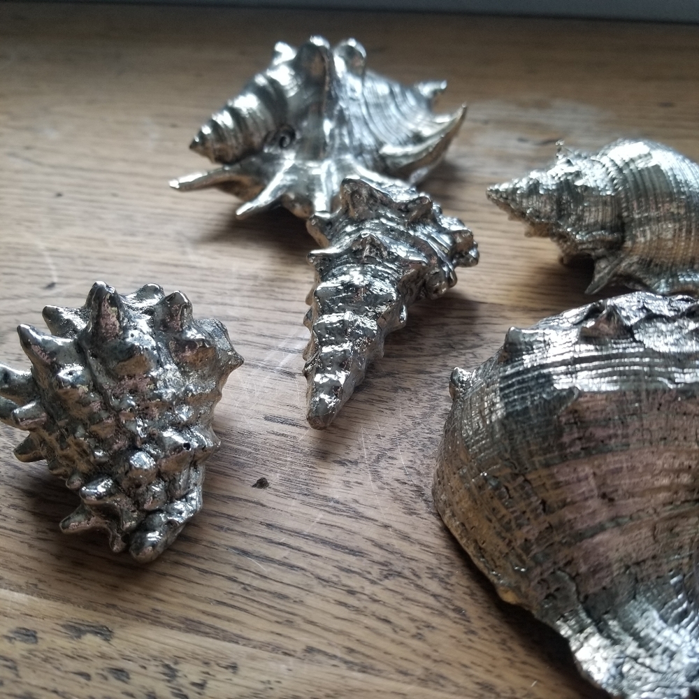 Silver Shell Decor